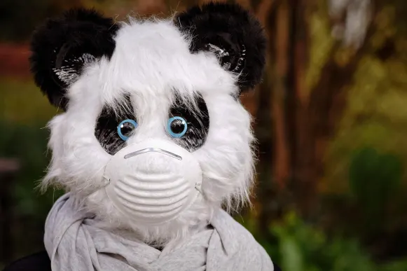 Pronto Casino Soporte